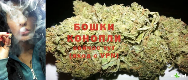 spice Сосновый Бор